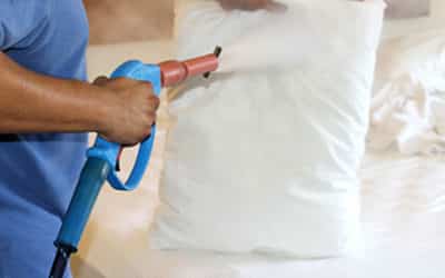 Bed Bug Treatment: Why We Recommend Heat or Steam, and Skip the Insecticide