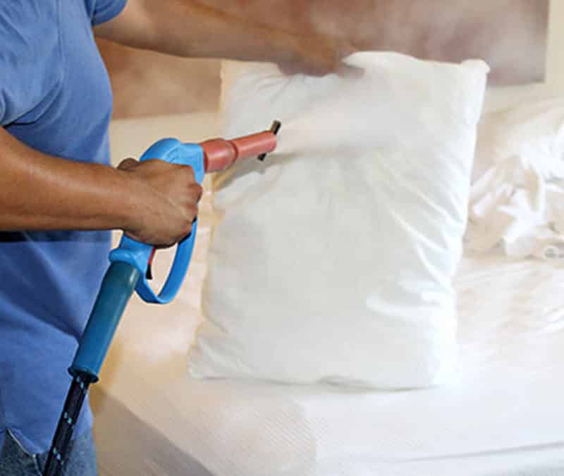 Bed Bug Steam Treatment by Reno NV Pest Control Pros