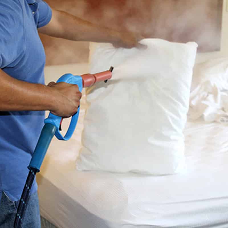 Bed Bug Steam Treatment by Reno NV Pest Control Pros