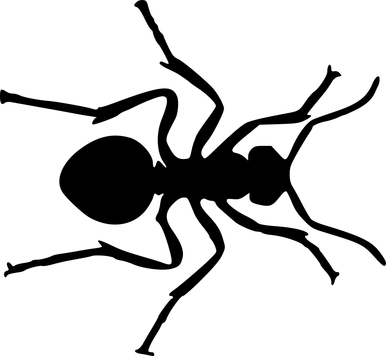 Ant Treatment and Extermination