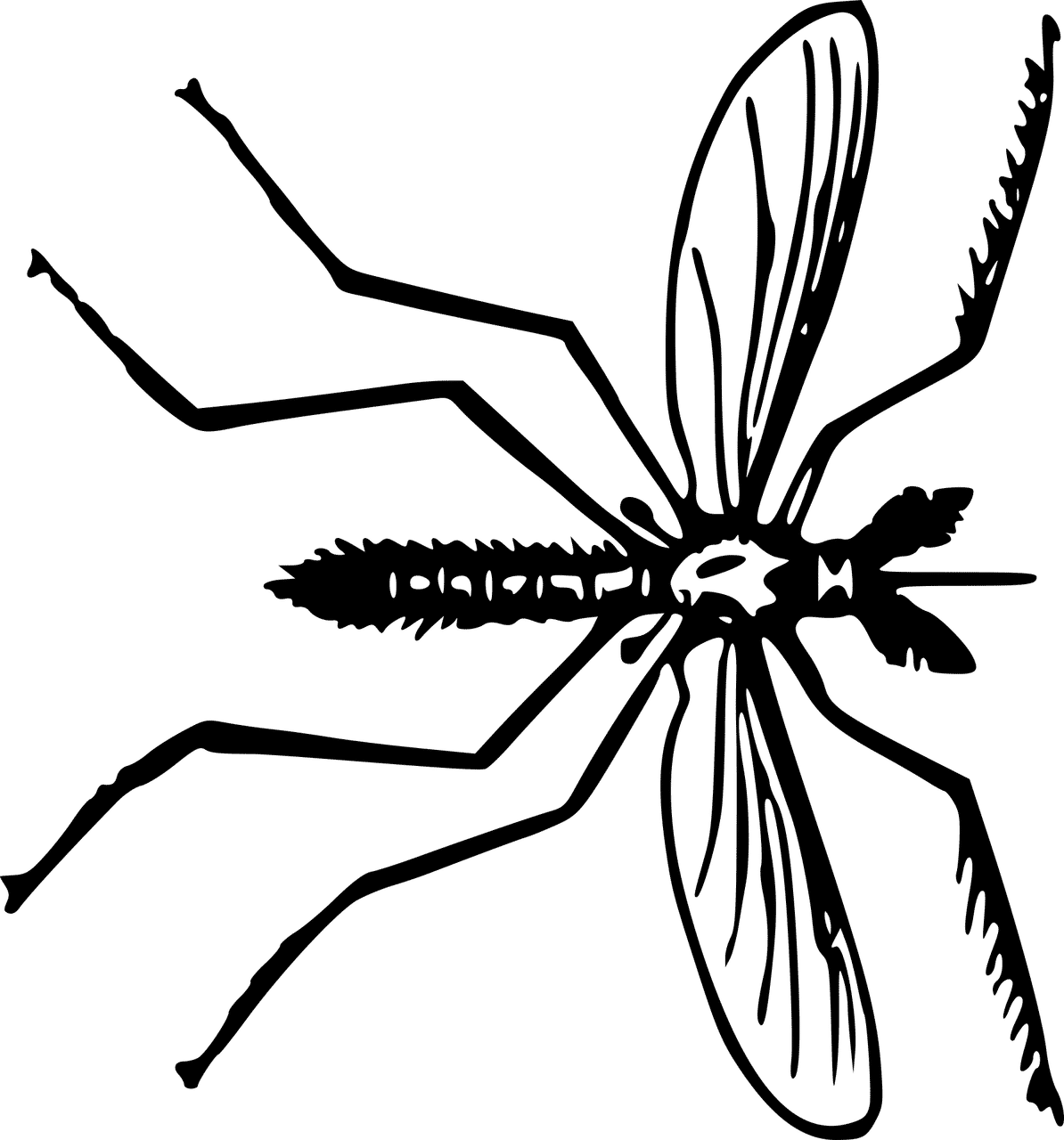 Mosquito Treatment and Extermination by Reno NV Pest Control Pros