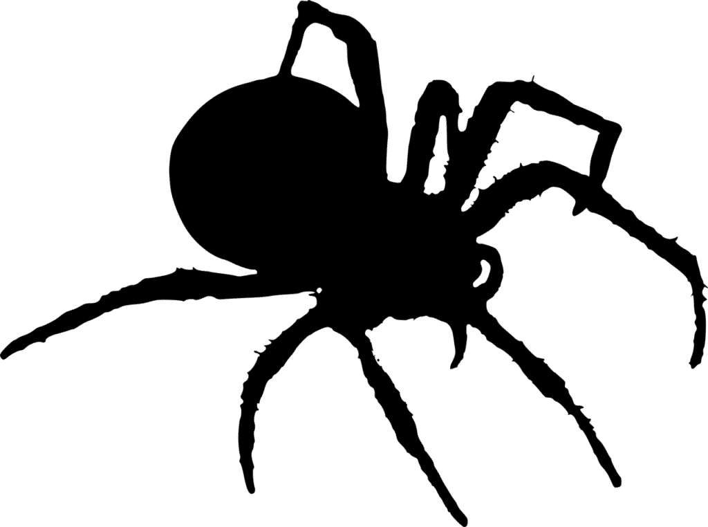 How To Keep Spiders Out Of Your Reno, Nevada Home