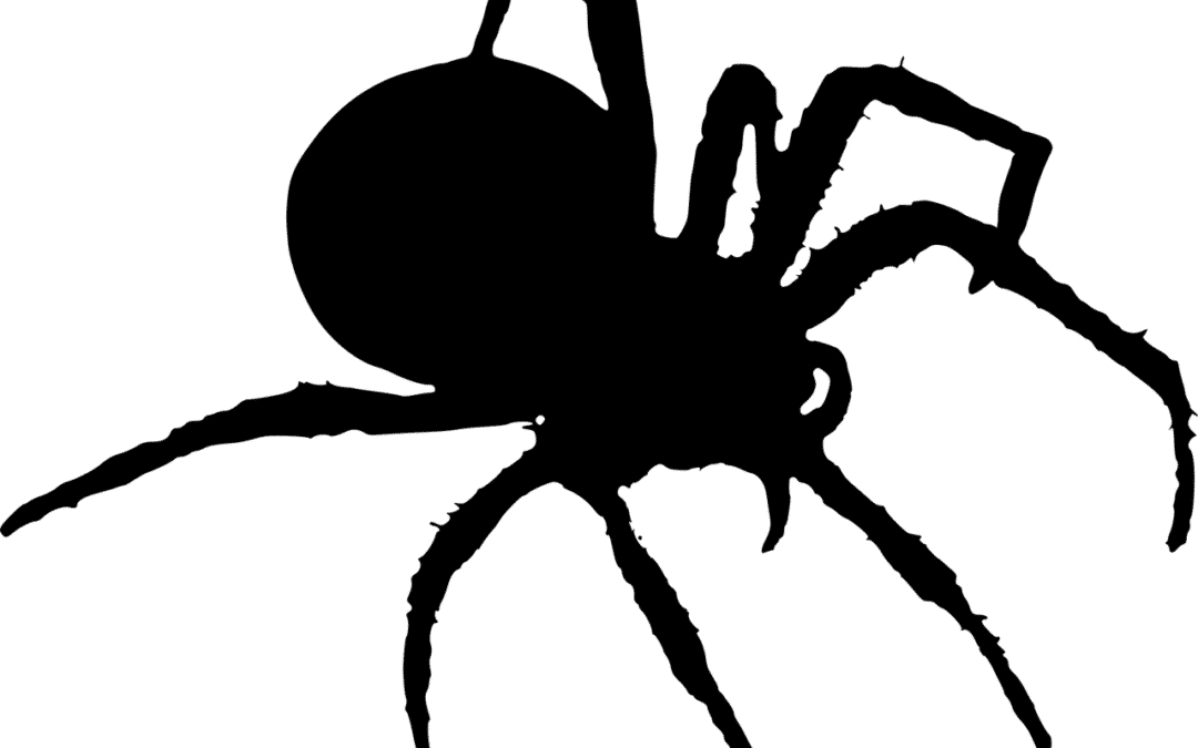 How To Keep Spiders Out Of Your Reno, Nevada Home