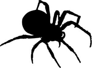 Spider Extermination by Reno NV Pest Control Pros