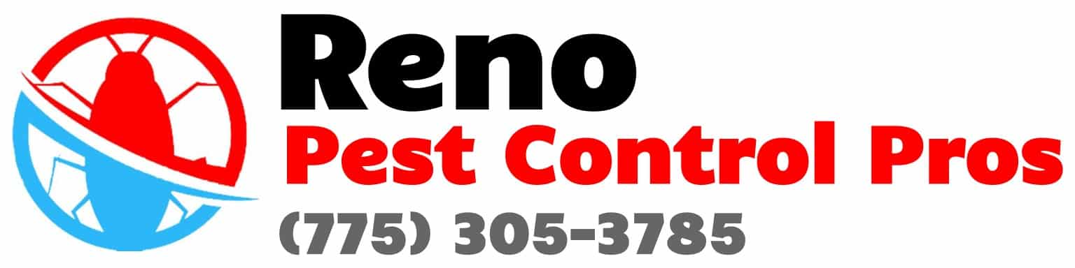 Pest Control Reno NV