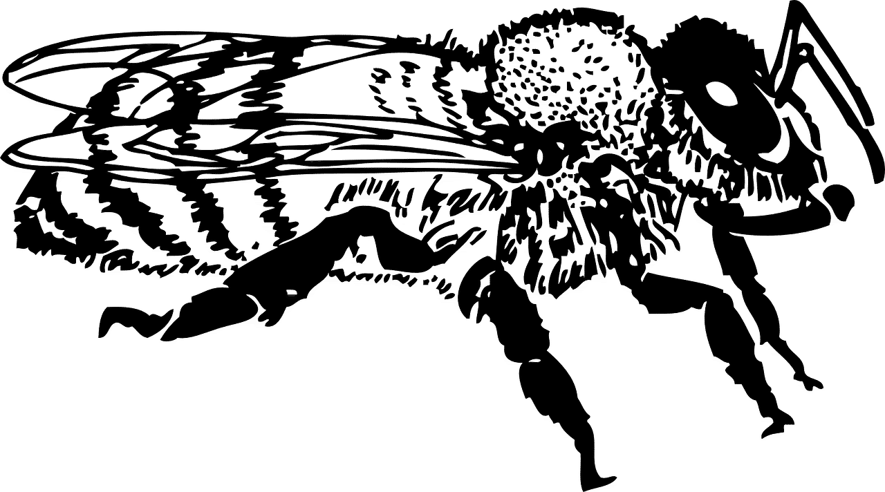 Bee Extermination by Reno NV Pest Control Pros