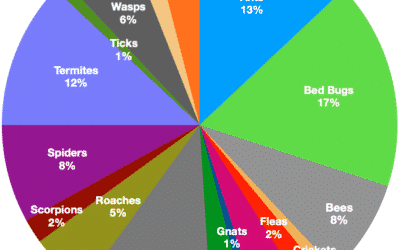 Which pests bug Renoites the most?