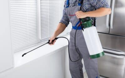 Four Benefits Of Keeping Your Home Pest-Free