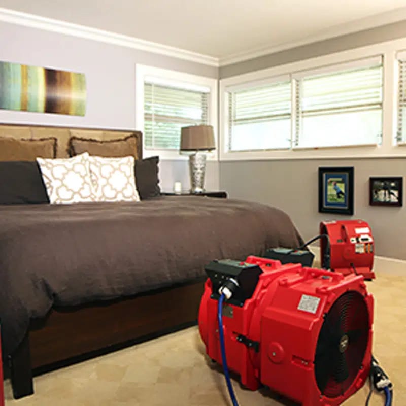 bed bug exterminator reno nv<br />
