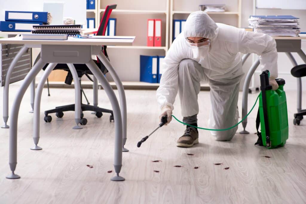 Commercial Pest Control Services