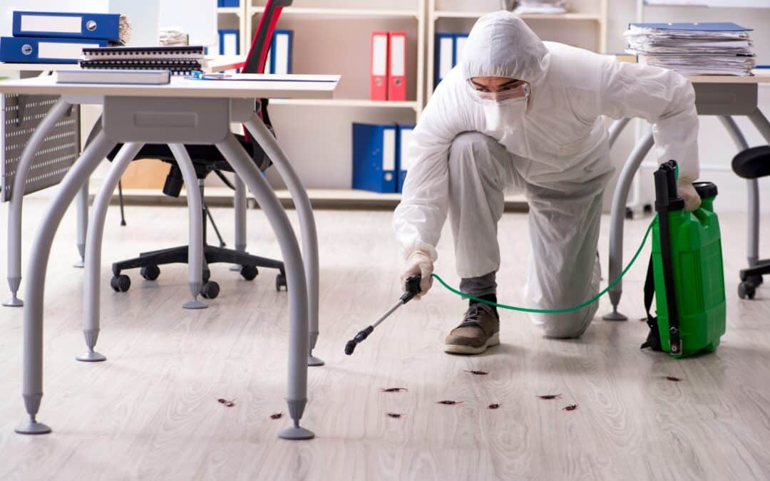Reasons to Hire Commercial Pest Control Services
